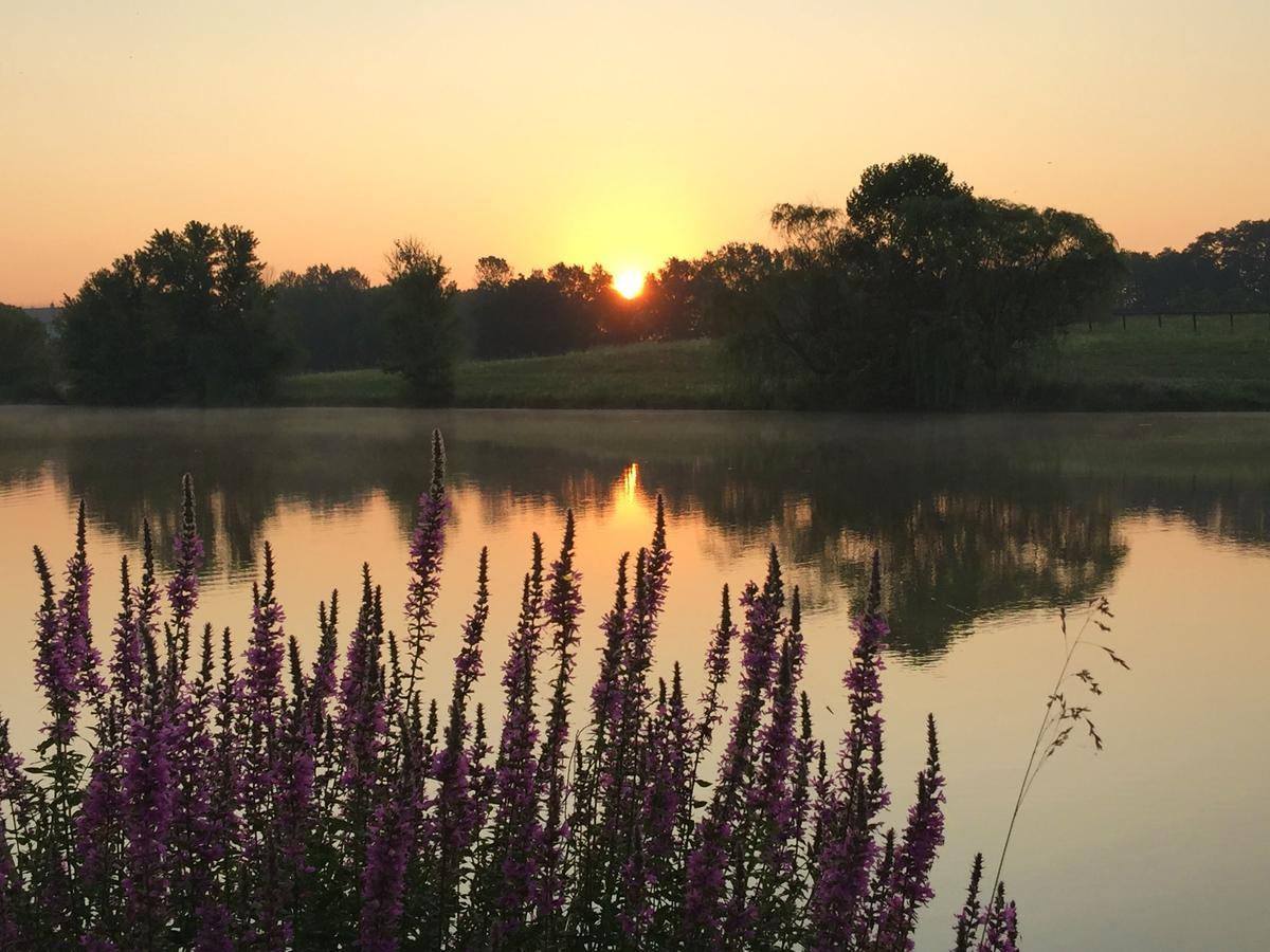 The B & B At Queenslake Midway Екстер'єр фото
