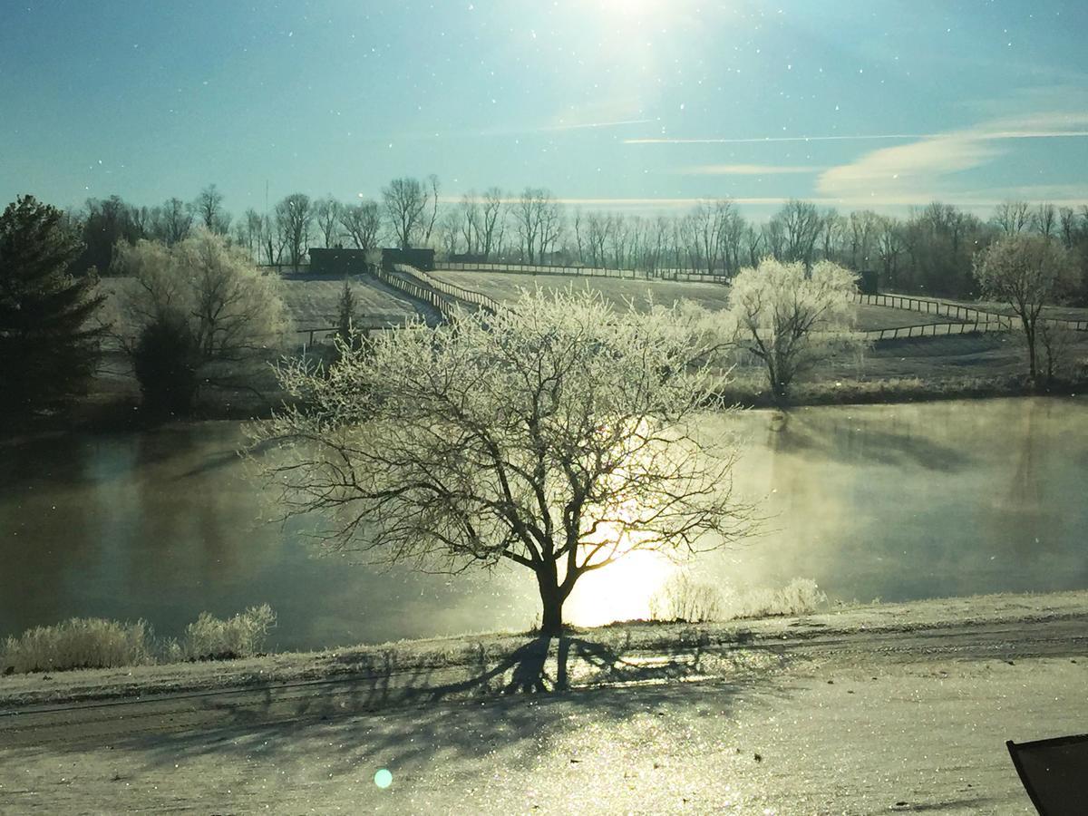 The B & B At Queenslake Midway Екстер'єр фото